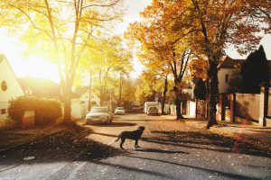 8 cidades brasileiras para morar com tranquilidade