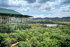 9 cidades para conhecer bons hotéis-fazenda no Brasil