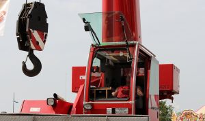 crane-888061_1280