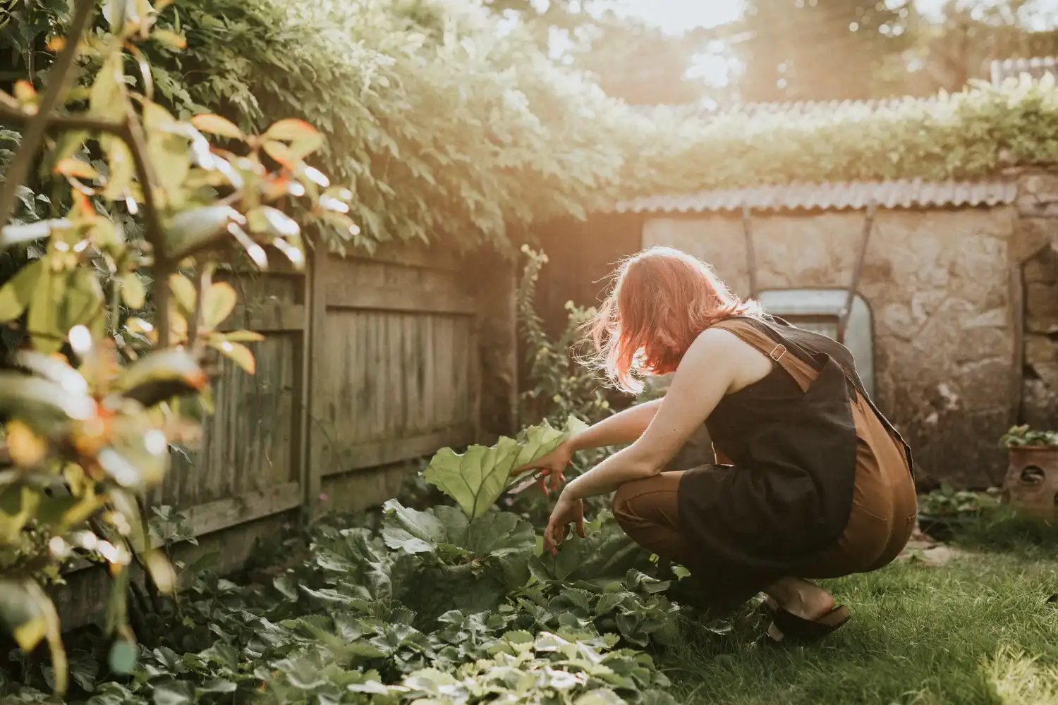 Pessoa cuidando de uma horta caseira em um espaço pequeno com plantas verdes, ideal para quem quer aprender como montar uma horta caseira em pequenos espaços
