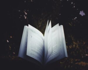 pexels-victor-150585-448835