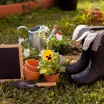 Vasos de barro e plantações de jardim com ferramentas, botas de borracha, e itens de jardinagem em uma área ao ar livre, ideal para organizar o jardim conforme as estações do ano.